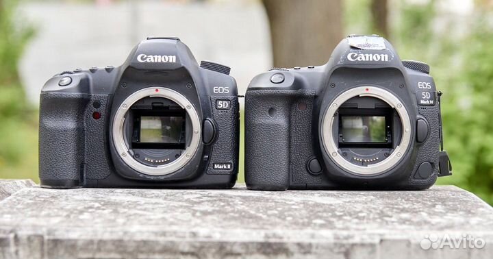 Canon EOS 6D Mark II