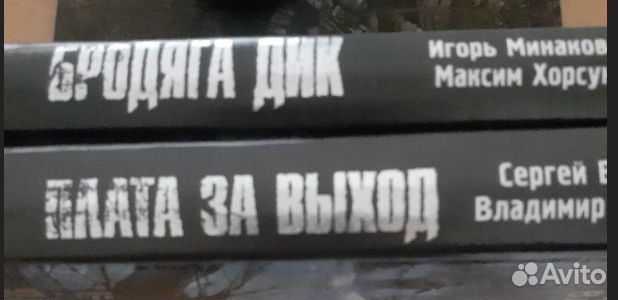 Книги серии Сталкер stalker