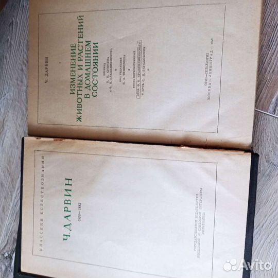 Книги Дарвин, Сталин, эстетика Толстого