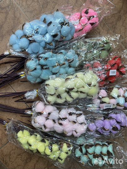 Хлопок сухоцвет