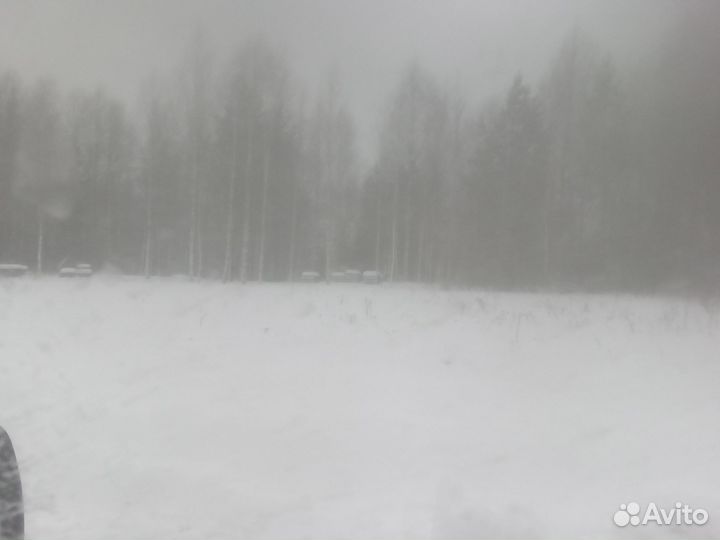 Продам пчел с ульями