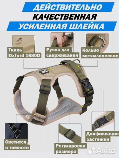 Шлейка для собаки