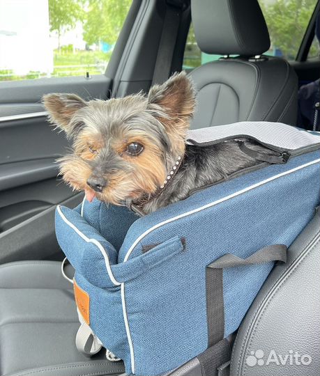 Сумка-переноска для маленькой собачки в автомобиле