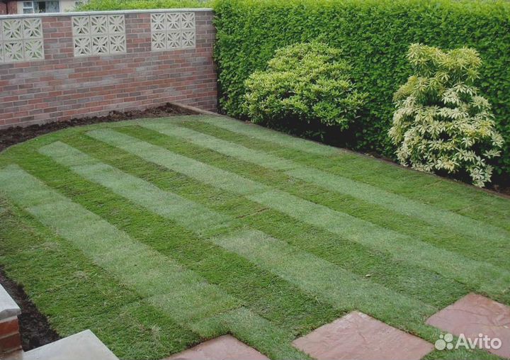 Рулонный газон под ключ