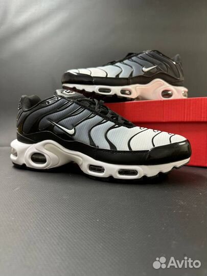 Кроссовки Nike air max tn plus