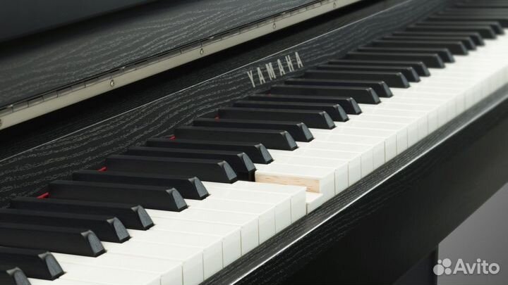 Репетитор по музыке фортепиано, сольфеджио