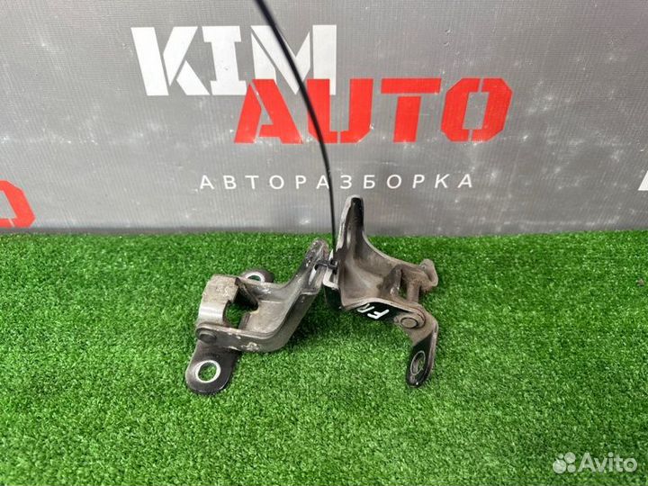 Петли двери передние правые Kia Rio 3 Ub 11-17
