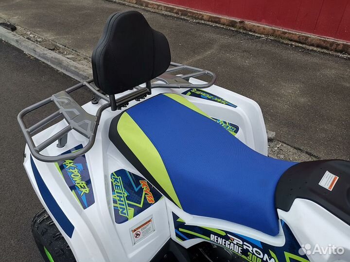 Квадроцикл promax renegade 300 LUX