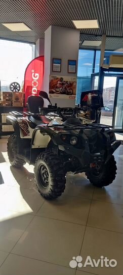 Квадрицикл Baltmotors Striker 500 EFI с птс