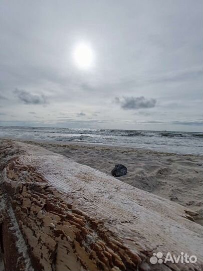 Экскурсии в Калининграде и области