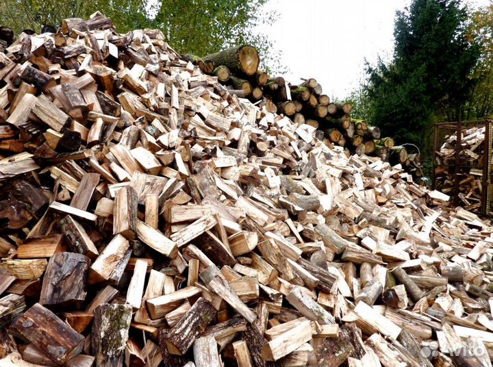 Дрова береза осина ольха