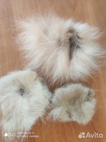 Волчицы амулет