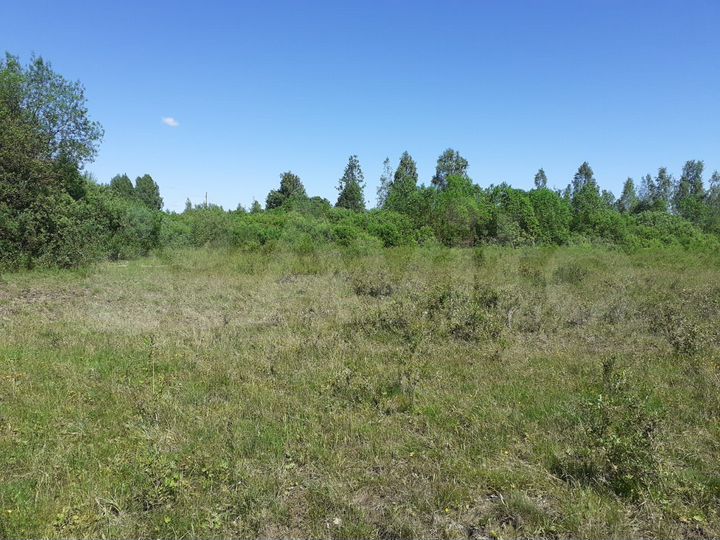 Участок 4,7 га (ИЖС)