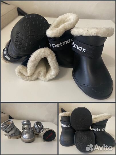 Ботиночки для собак