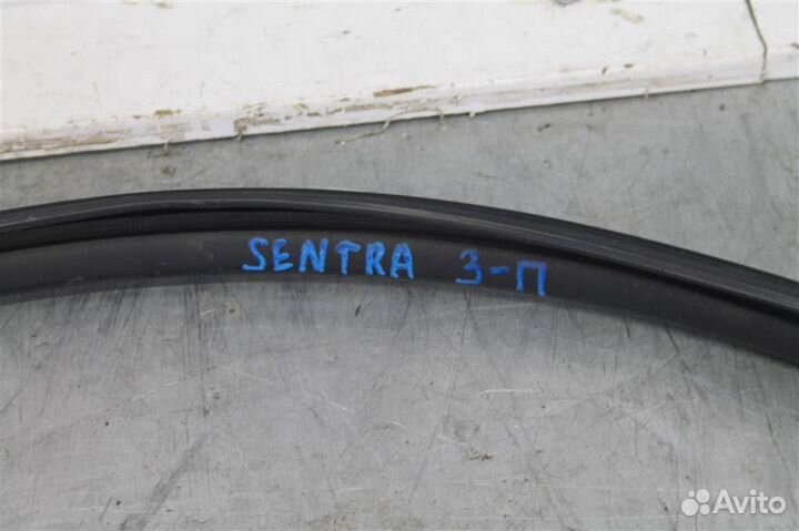 Уплотнитель стекла двери задней правой Nissan Sen