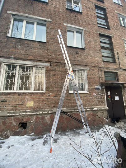 Лестница krause в аренду