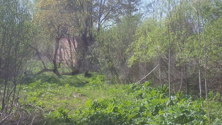 Участок 49 га (СНТ, ДНП)