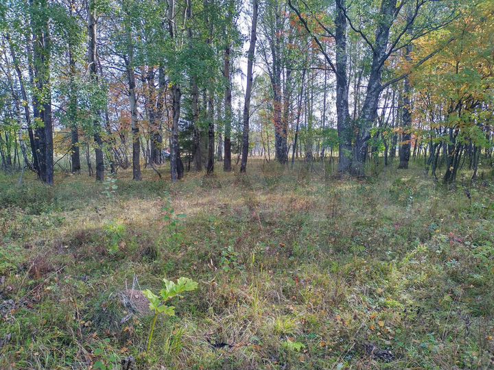 Дом 301,2 м² на участке 50 сот.