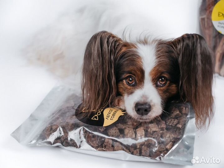 Вкусняшки для собак-лакомства для собак оптом