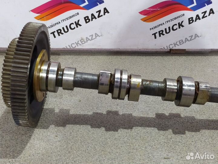 Распредвал Renault Magnum