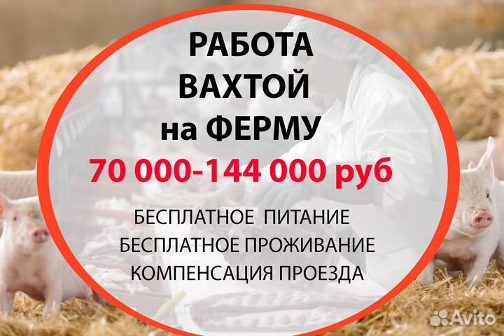 Вахта-работа с проживанием и питанием