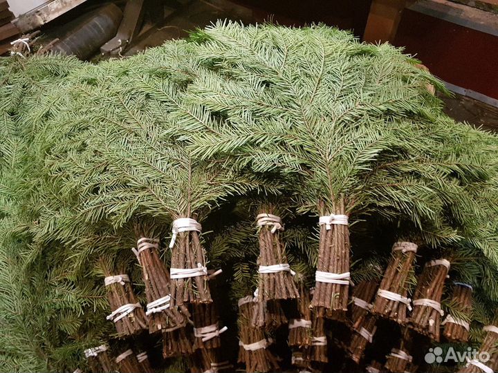Пихтовые веники для бани