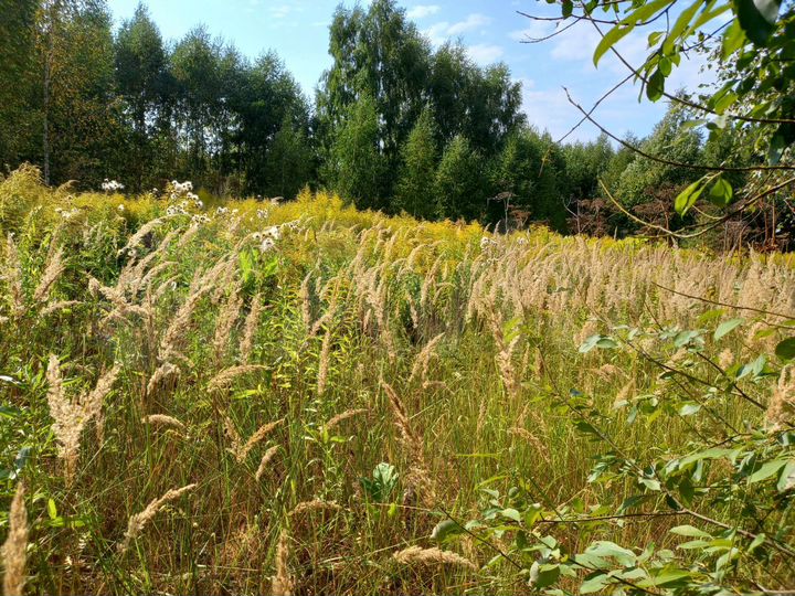 Участок 15 сот. (СНТ, ДНП)