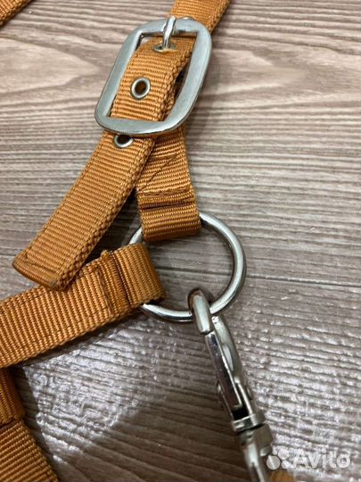 Амуниция для лошади