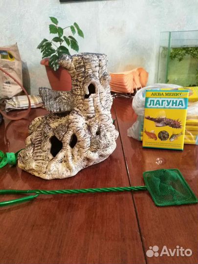 Для Аквариума