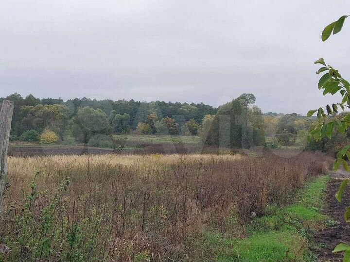 Дом 60 м² на участке 50 сот.