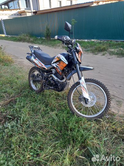 Racer panrher 300