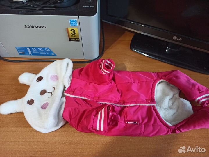 Комбинезон дождевик для собаки мелких пород