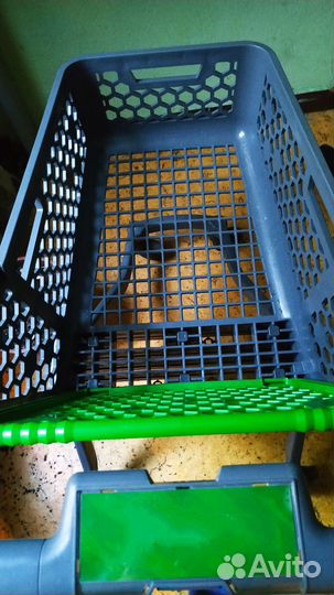 Покупательская новая тележка