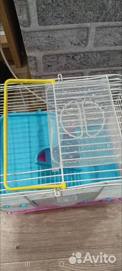 Клетка для джунгарского хомяка