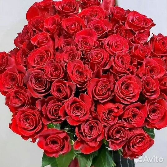 Высокие Розы с Доставкой