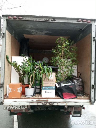 Грузоперевозки, грузчики, Газель