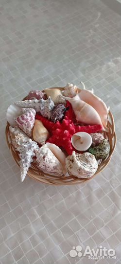Набор ракушек в корзинке