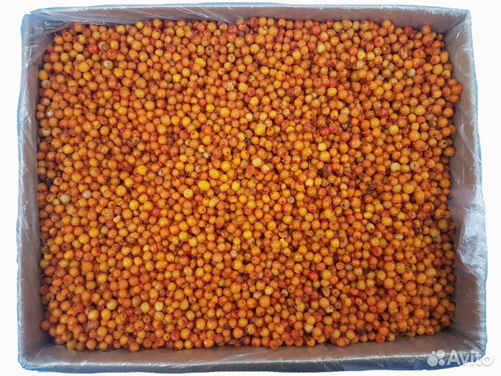 Облепиха Россия свежемороженая 10кг