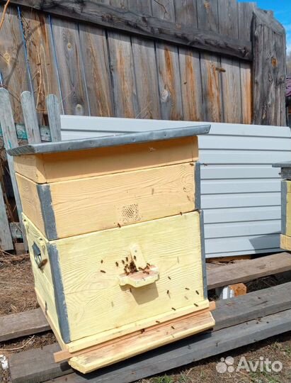 Пчелосемьи с ульями