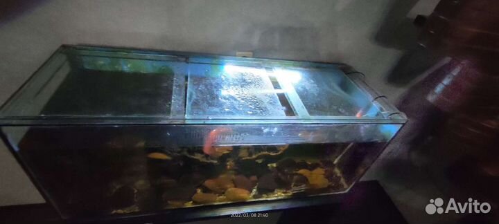 Аквариум