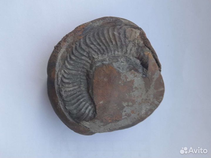 Природный камень