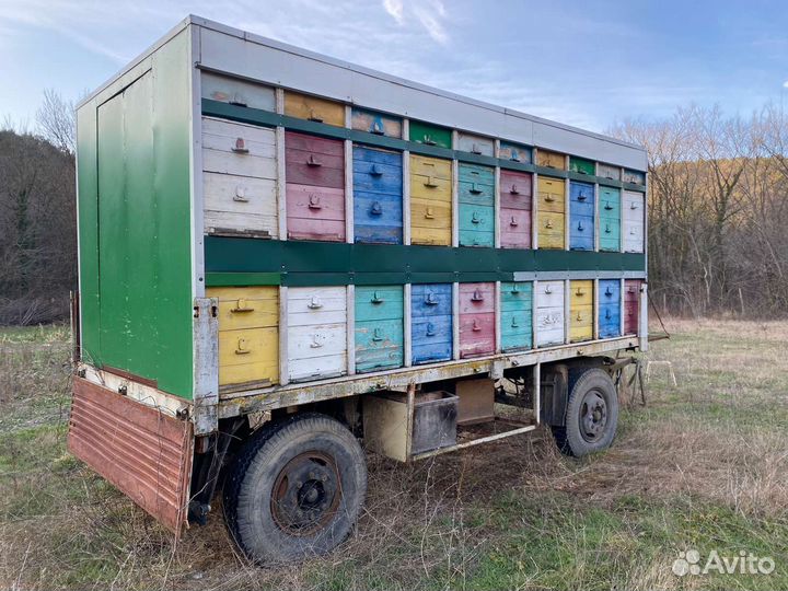 Пчелоприцеп
