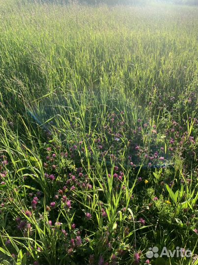 Сено в тюках