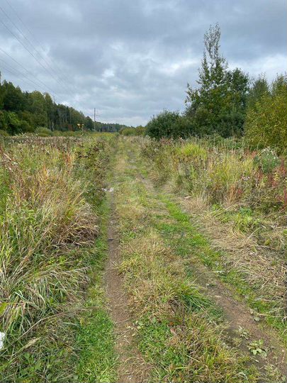 Участок 1,35 га (СНТ, ДНП)