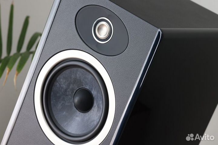 Напольная акустика Focal Vestia N3