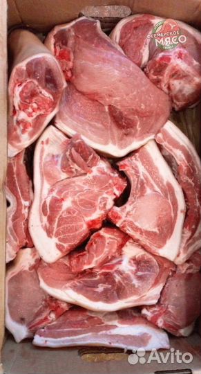 Мясо свинина