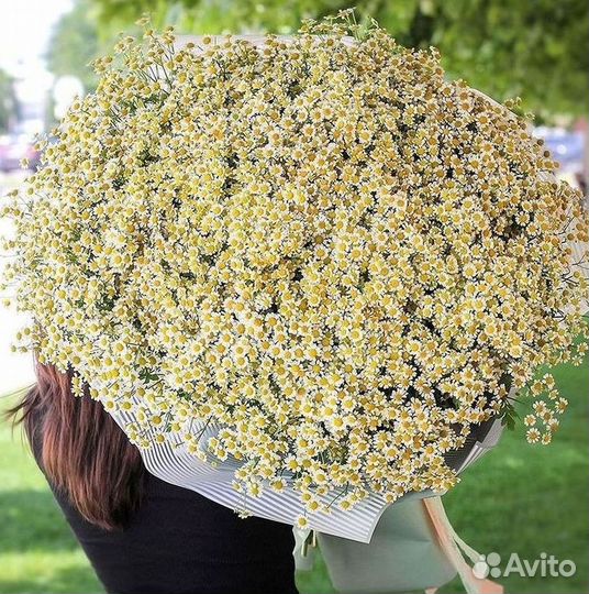 Букеты. Доставка ромашек