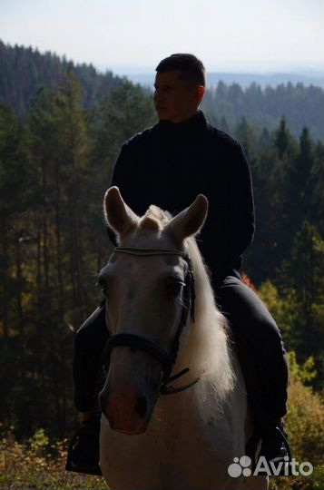 Катание на лошадях и пони