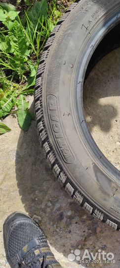 Tigar Winter 205/55 R16 94