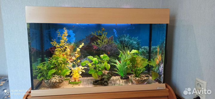 Аквариум